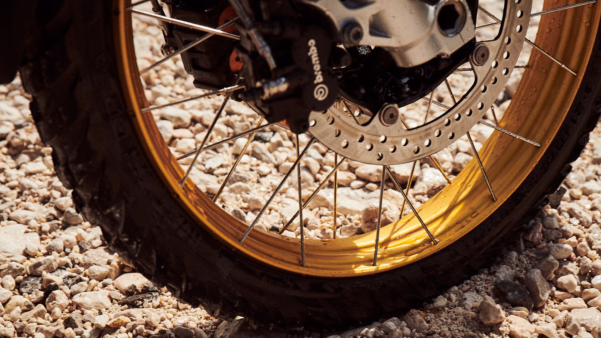 Détail de la roue avant de la nouvelle BMW F 850 GS Adventure